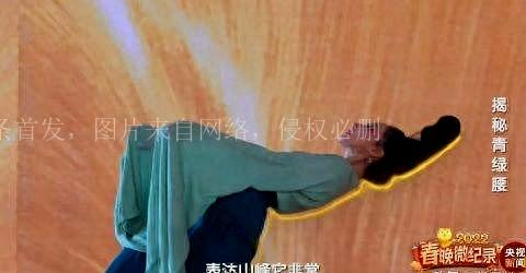 完美世界体质排名前十(完美世界有哪些体质)插图