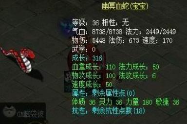 问道黑豹子(东北黑豹子)插图