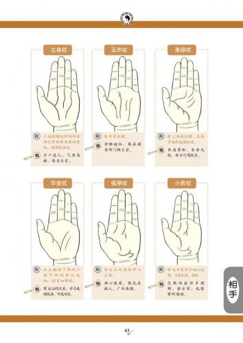 看手相算命(免费算命)插图4