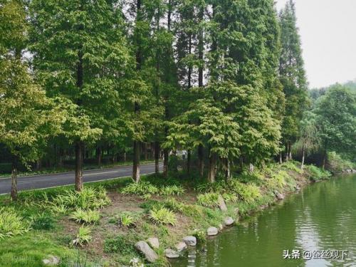 江苏省无锡市宜兴市(宜兴到无锡最快方法)插图6
