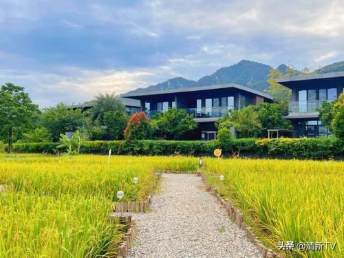 清远清新温泉度假村(299元温泉加住宿)插图5