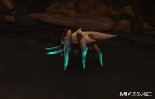 wow小宠物推荐(魔兽世界野外稀有小宠物)插图12