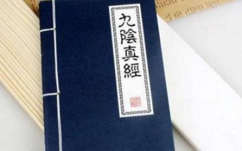 九阴真经四内九阴志(九阴真经网游)