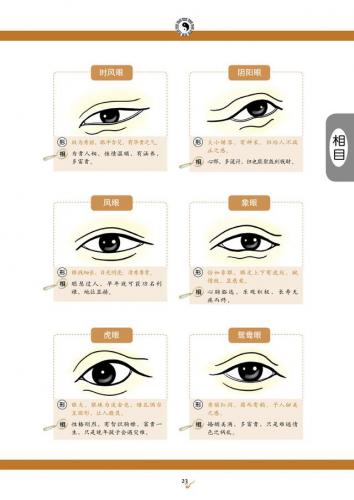 看手相算命(免费算命)插图12