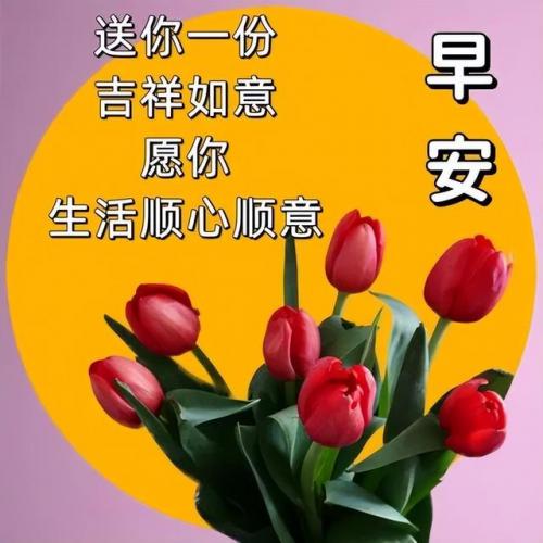 快乐相伴(快乐相伴微信名好吗)插图6