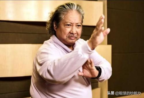 未来武打影星排名前十(武打明星前二十名)插图6