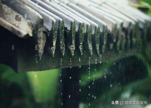 雨落凡尘(羽落凡尘)插图2