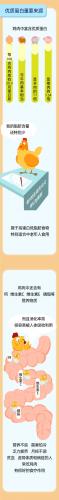 昆布是什么(昆布图片)插图2