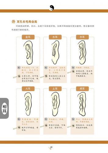 看手相算命(免费算命)插图24