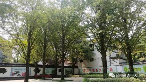 邳州最美别墅排名前十(邳州别墅最高价)插图3