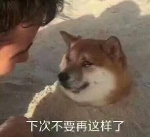 盗版单机哪个平台好(现在单机游戏在哪里玩)插图28