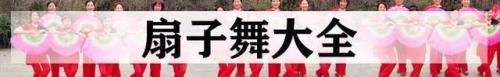 排名前十的广场舞曲(最近热门的广场舞曲)插图11