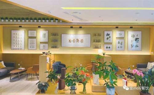 江苏药膳餐厅排名前十(药膳餐厅照片)插图12