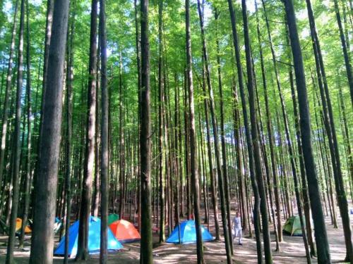 重庆凉快胜地排名前十(离重庆1小时的凉快地方)插图27