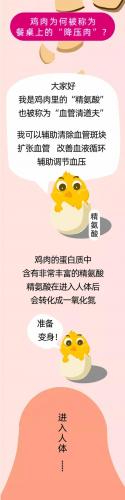 昆布是什么(昆布图片)插图