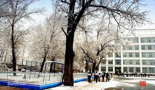 营口普高学校排名前十(营口卫生学校)插图56