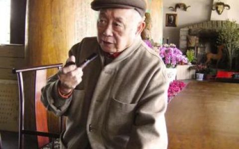 湘西民间画家排名前十(湘西画家黄永玉)