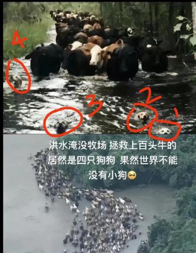 各界大佬捐钱排名前十(名人大咖捐钱的例子)插图7