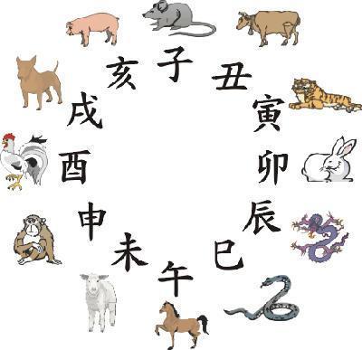 鱼目混珠打一生肖(鱼目混珠什么动物)插图1