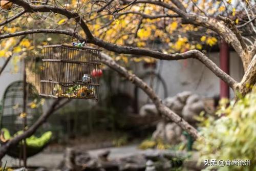 徐州酒吧餐饮排名前十(徐州特色饭店排行榜)插图19