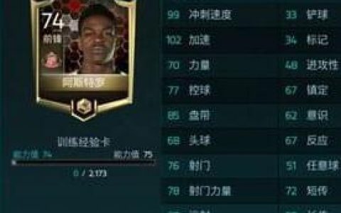FIFA足球世界初始能力查看方法(fifa11球员能力值排名)