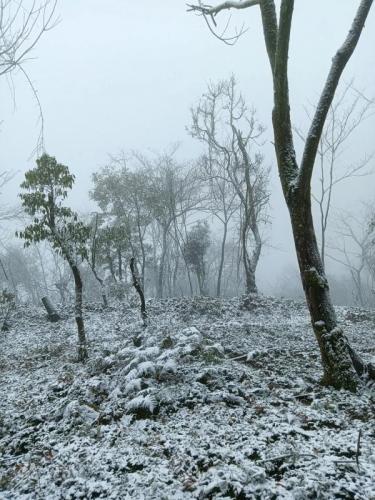 四川哪里下雪了(2023第一场雪)插图7