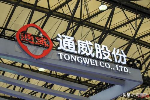 鱼食料品牌排名前十(鹦鹉鱼十大鱼饲料品牌)插图7