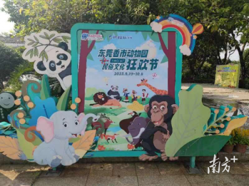 东莞香市动物园(东莞香市动物园门票99元优惠套票)插图1