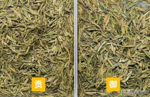 龙井品种排名前十图片(最好的龙井茶)插图2