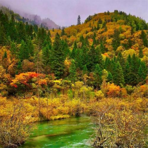 风景头像图片(风景头像图片唯美)插图32