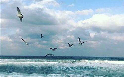 韩国海边景点排名前十(韩国著名海边旅游景点大全)插图2