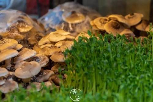 青岛牛油火锅排名前十(牛油火锅底料哪个牌子好吃)插图30