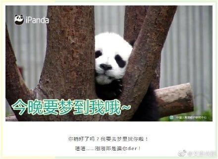 土味情话大全(撩妹500句土味情话)插图10