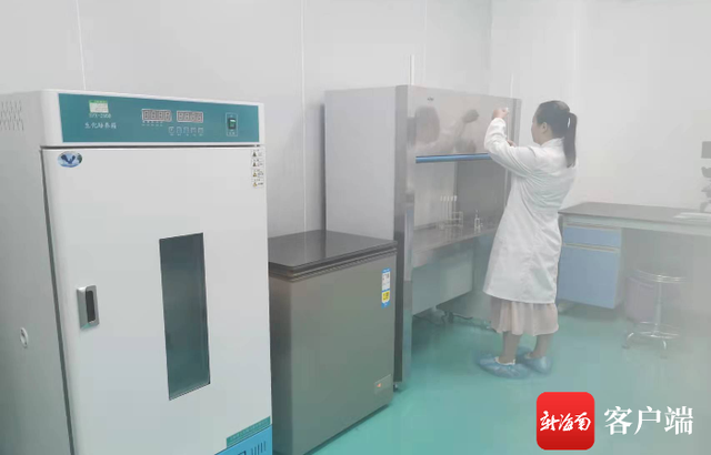 海南益生菌企业排名前十(海南制药企业排名)插图2