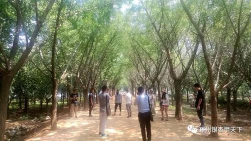 邳州最美别墅排名前十(邳州别墅最高价)插图10