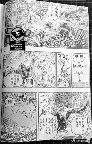 海贼王1055(海贼王漫画1055话汉化版本)插图13