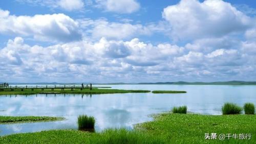 新疆最美湿地排名前十(乌鲁木齐湿地公园在哪里)插图11