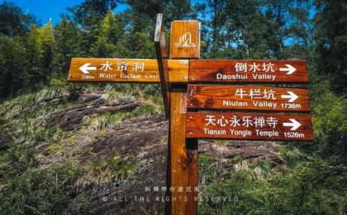 武夷山景点(武夷山景点介绍)插图21