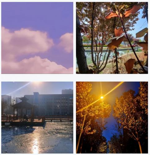 河南经贸学院(河南经贸学费一年多少钱)插图16
