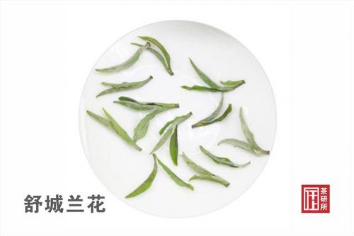 宣城茶叶企业排名前十(茶叶企业排名)插图5