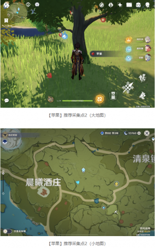 原神百货奇货第七天鸟蛋苹果及白萝卜采集地点一览(烤鸟蛋)插图6