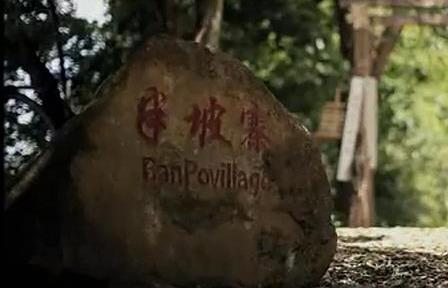 版纳美丽乡村排名前十(西双版纳古村落)插图16