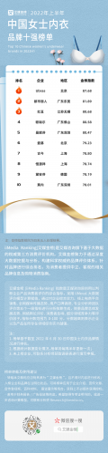 女士内衣品牌排名(什么品牌的泳衣好)插图
