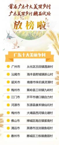 珠海乡镇环境排名前十(珠海各镇排名)插图