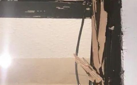 白蚁防治专家排名前十(彭泽县有白蚁防治站吗)