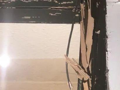 白蚁防治专家排名前十(彭泽县有白蚁防治站吗)插图
