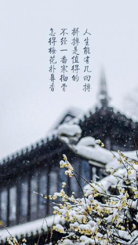 新春图片(2023新春图片)插图2