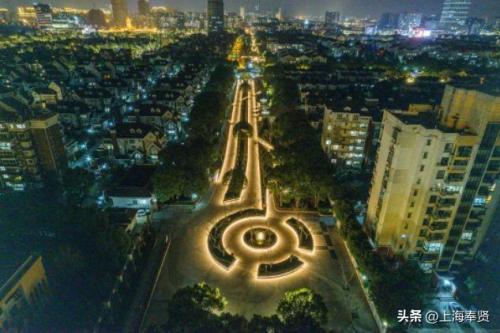 上海阴凉地方排名前十(什么花可以养在阴凉的地方)插图5