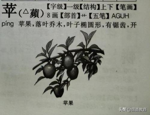 葡的组词二个字(紫的组词二个字)插图2