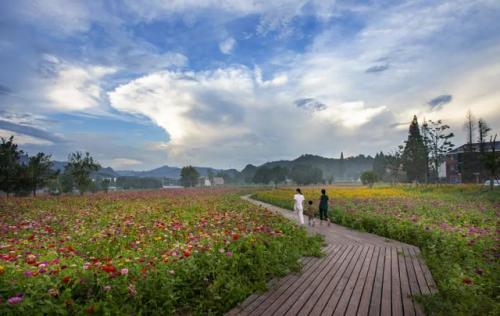 杭州花海农场排名前十(杭州哪里有生态农场)插图16